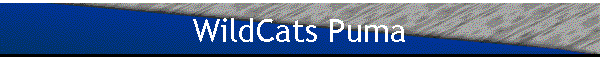 WildCats Puma
